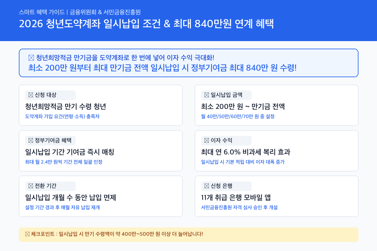 청년도약계좌 일시납입 핵심 혜택 및 신청자격 인포그래픽 카드뉴스